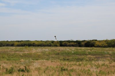 DSC_4411.jpg