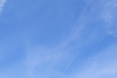 DSC_4458.jpg