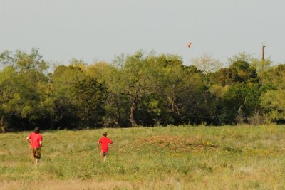 DSC_4553.jpg