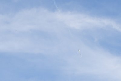 DSC_4582.jpg