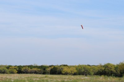 DSC_4635.jpg