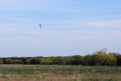 DSC_4678.jpg