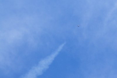 DSC_4710.jpg