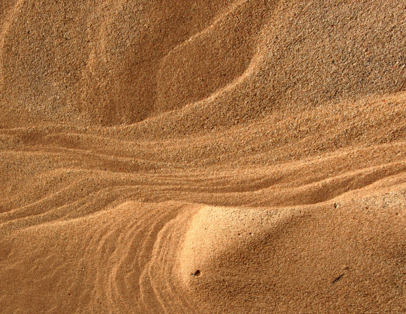 Sand Lion Canyon.jpg