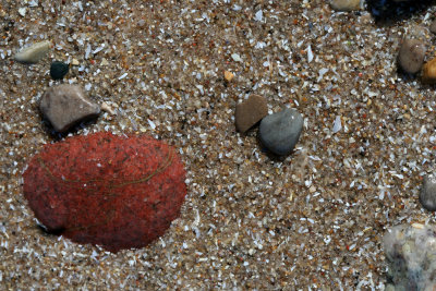 Rocks red stone.jpg