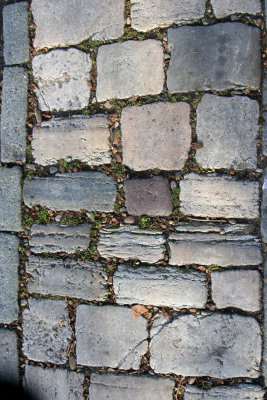 Worn Street Bricks Moss185.jpg