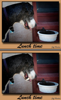 Fun Retouch for DPReview Retouch Forum