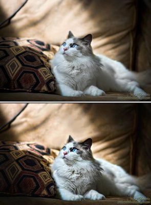 Enhancement for DPReview Retouch Forum