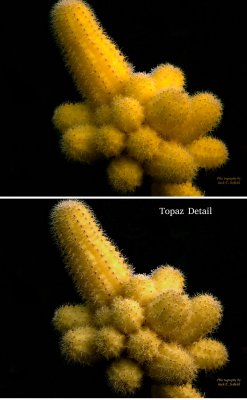 Topaz Detail