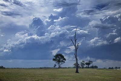 East Gippsland & Mallacoota