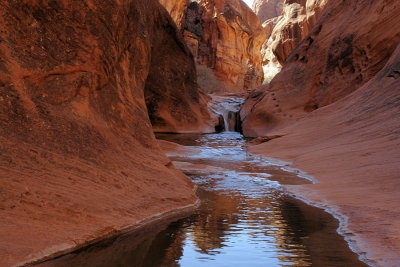 Red Cliffs Desert