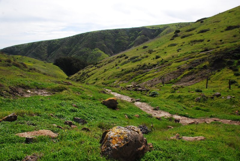 Santa Cruz Island