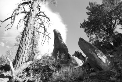 Near Mono Lake