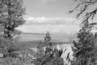 Looking out over Mono Lake