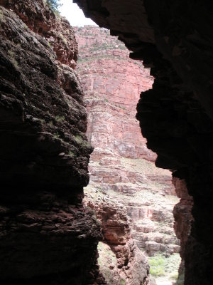 Whinnie's Grotto