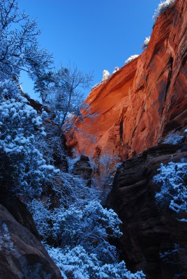 A Frosty Morning in Zion
