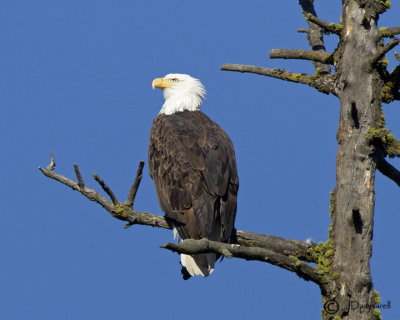 g1/18/757118/3/131066214.ZWzTPdN8.jpg