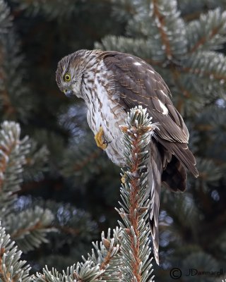 g1/18/757118/3/131404155.FZ154BKX.jpg