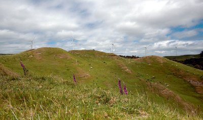 IMG_6855.jpg