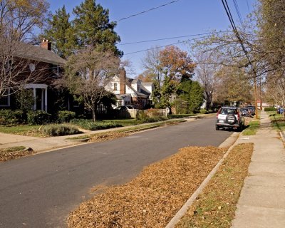 Our neighborhood looking North from our house