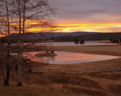 Sunset's Golden Colors