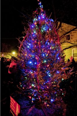 2010 Del Ray Christmas Tree Lighting, December 3rd
