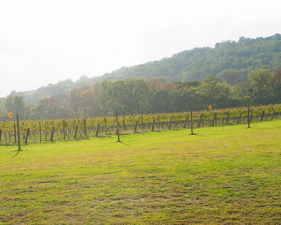 _DSC9938 copy 8x10ppi300_resize.jpg