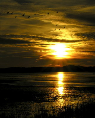 Sunset at Chincoteague