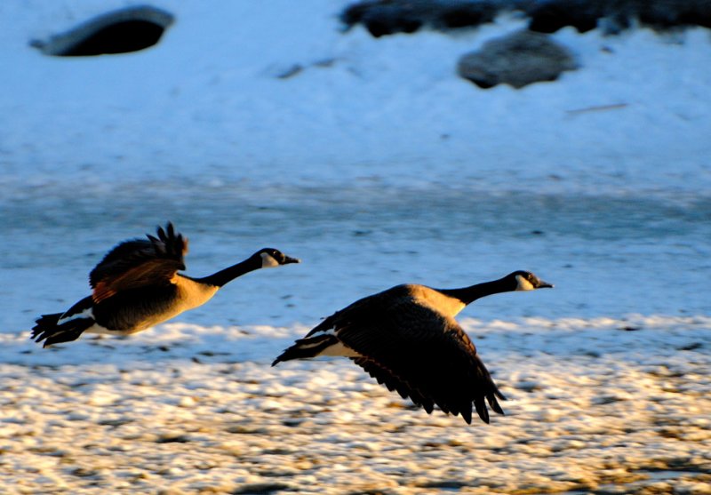 Together in Fading Sunlight