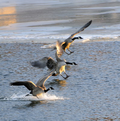 Controlled Splash Down (4 Images)