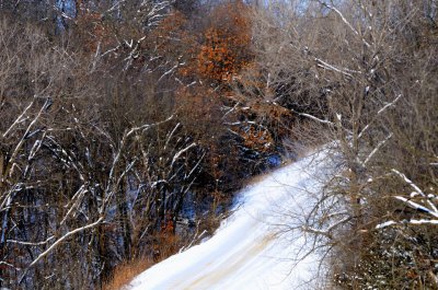 After Recent Snowfall