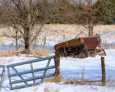 Relics in the Snow