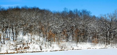 Snow Painting - Panorama