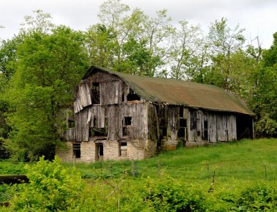 Old Barn for Curing Tobacco (2 images)