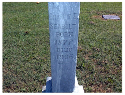 Charles Elihu Seabolt was the eldest of three known children born to, William Seabolt & his wife on 18 March 1876 in Barnard, Nodaway, MO. In 1899, in Nowata, Nowata, OK, he married, Bertha Jean Marincia Coatney. Together this couple would share three known children. Charles died in Nowata, Nowata, OK, on 08 November 1905, and is buried in Nowata Memorial Cemetery, Nowata, Nowata, OK.