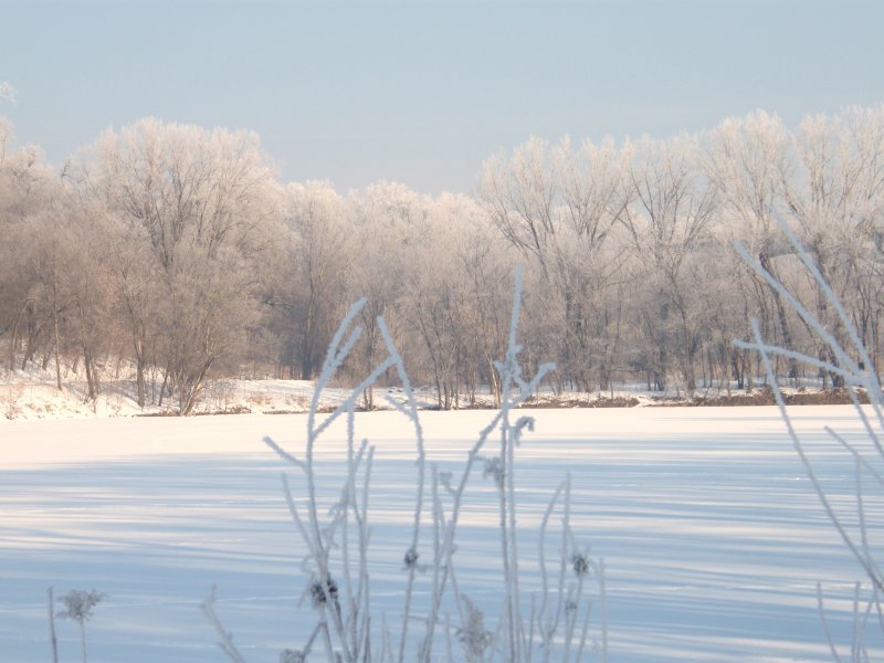 Frosty Morning
