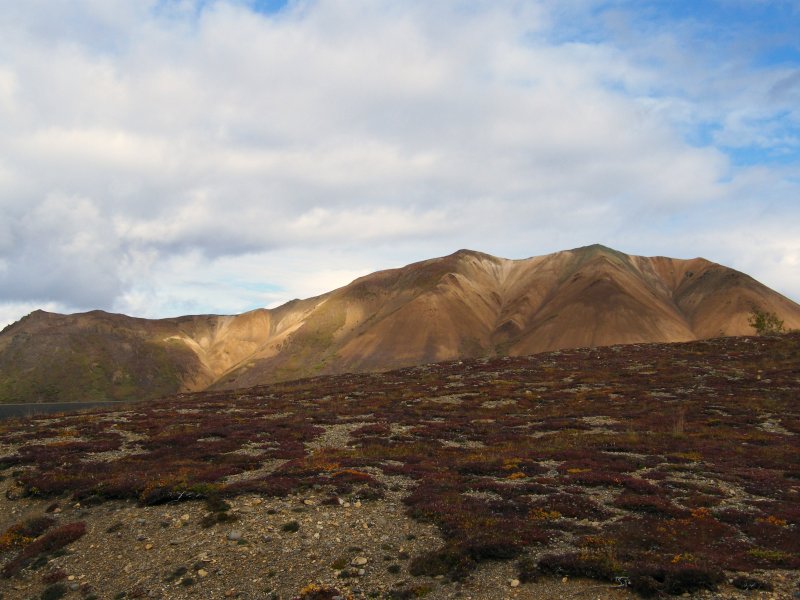 Polychrome Mountains in distance