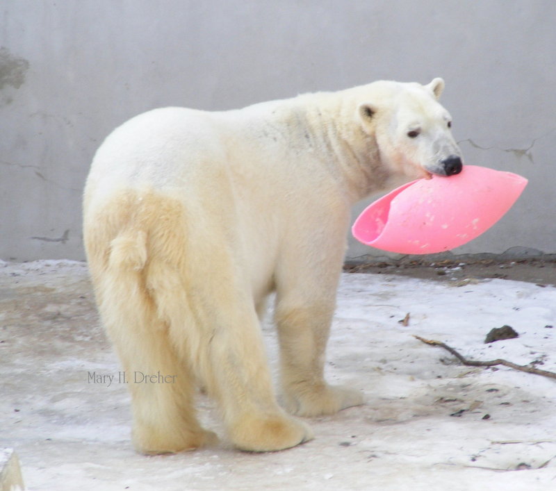 This is his toy