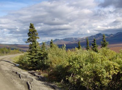 The road to Eielson Visitor Center