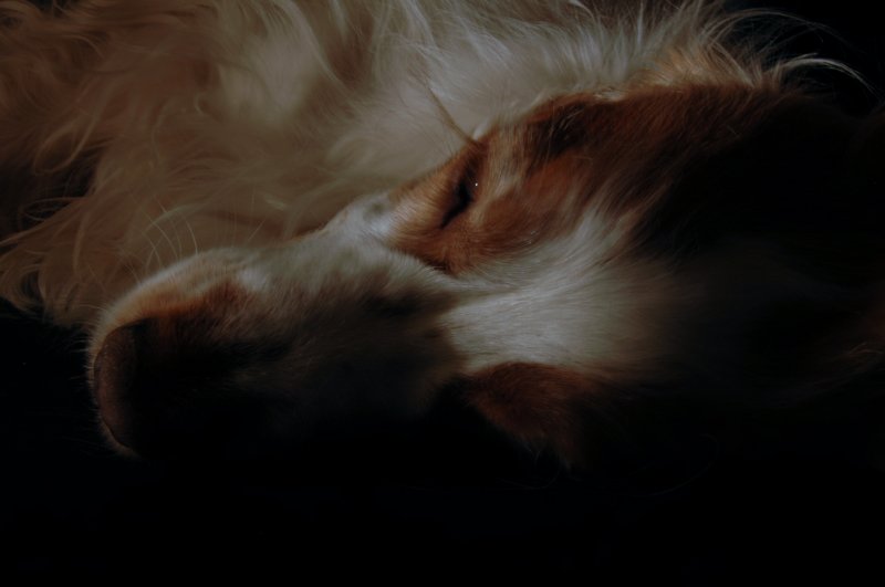 Tired