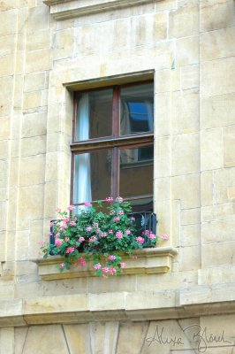 Decorated Window