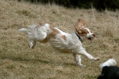 Hard Landing