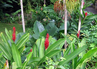 Gardens