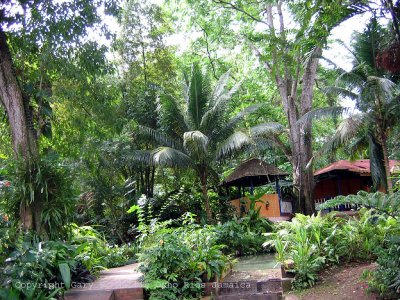 More Gardens