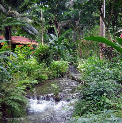 Stream