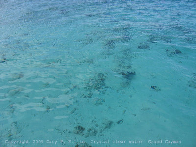 Crystal clear waters of the Caymans