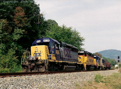 A colorful lashup at Brand.jpg