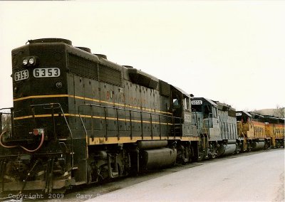 A colorful variety.jpg