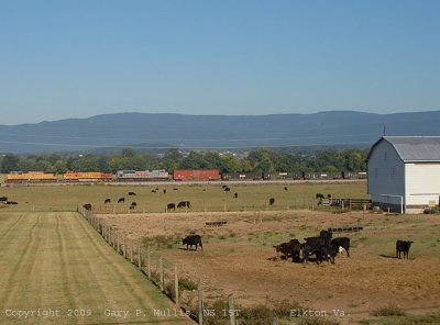 15T is by the farm fields just north of Elkton Va.jpg