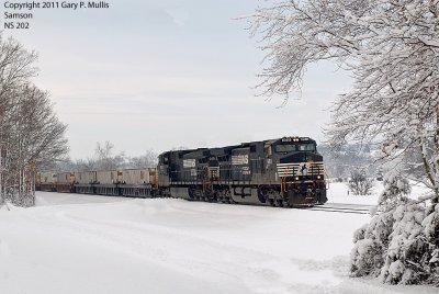202 northbound at Samson.tif